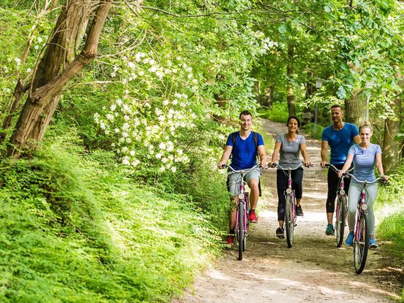 870F2217DA4D87C42BF1189EA9FCBC7B