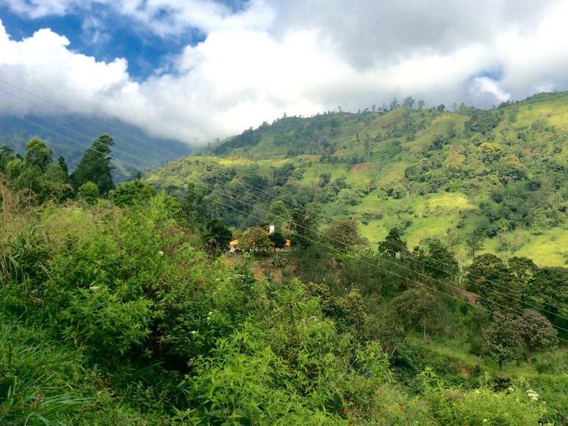 566772502FDEDE986C25FA110B5CEAC5