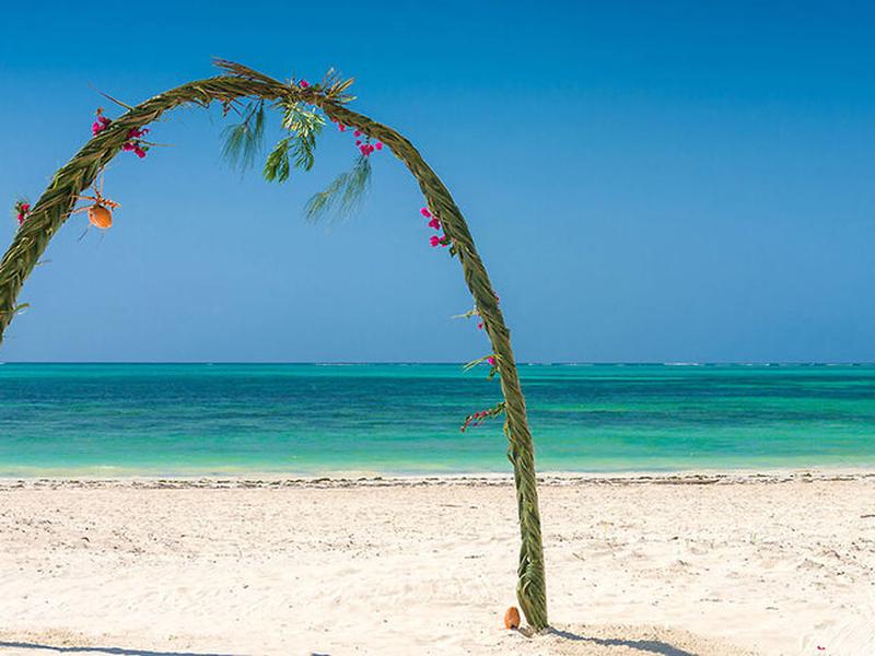 45B73BC1CBED8A053B6E3AA527F4C1A0