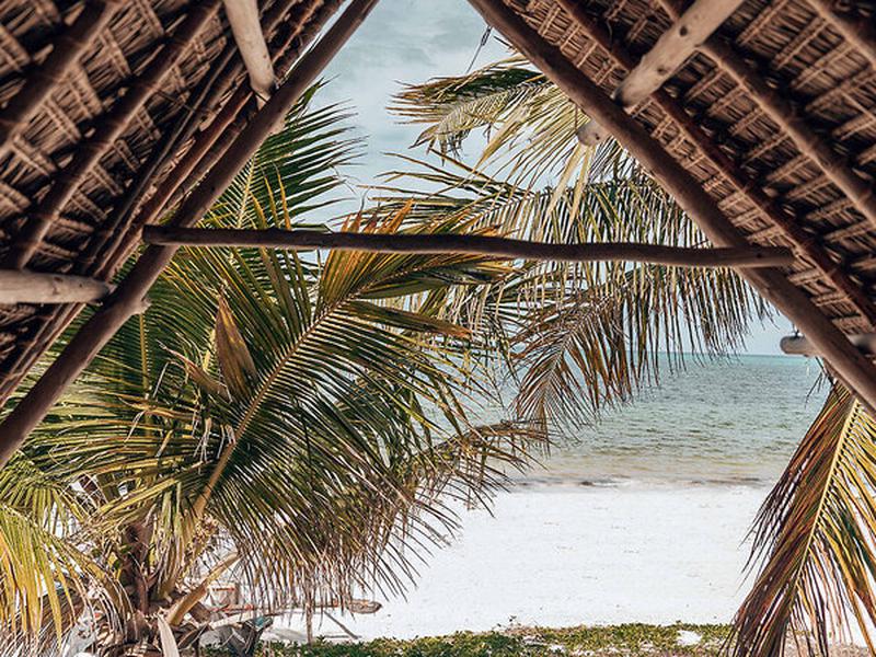 6A16141D0DDE102BAF673DFDD55C0EBC