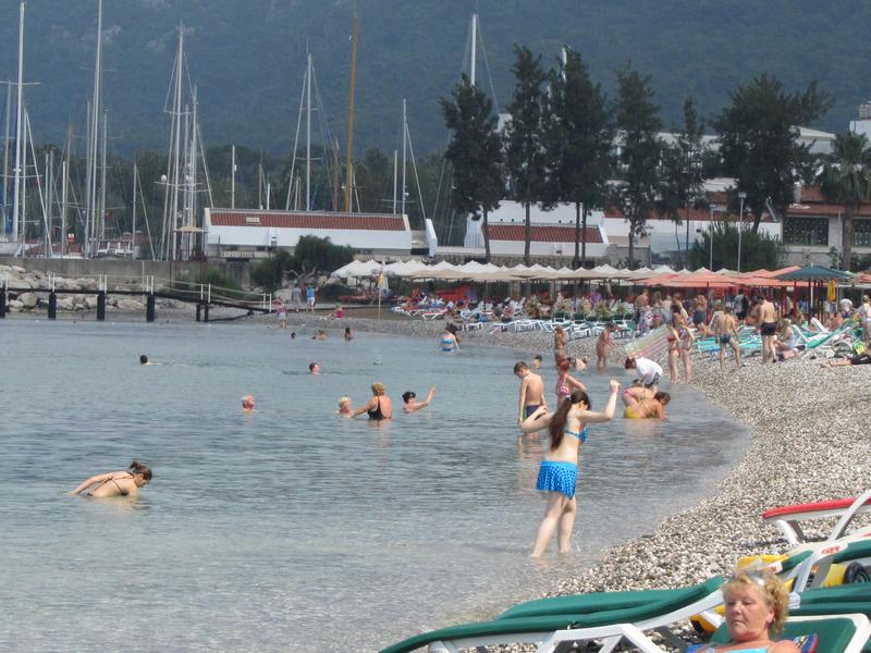 D91B51C8AD924E8FB924103DDDB4EFC5