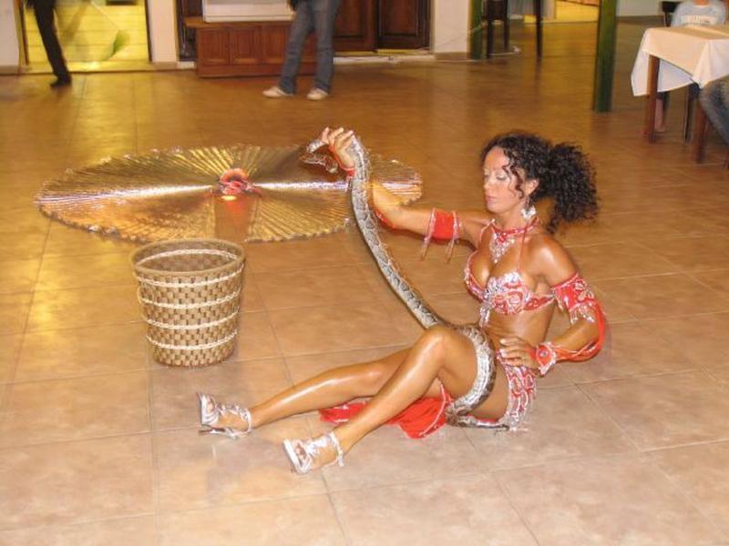 99CB15A9DDF7ACBBE9120AAF432E360F