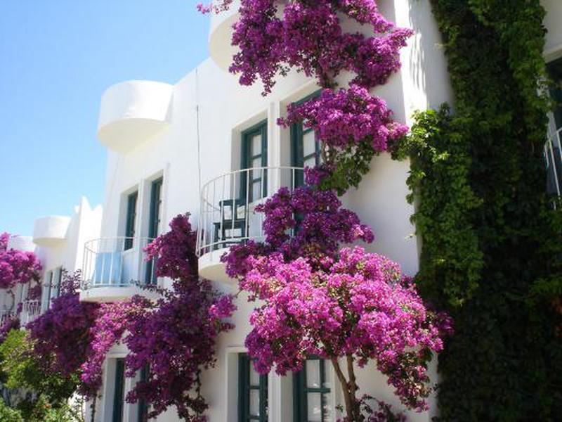 CA95459FFF1BD5E67AC2C9C5C7DB9955