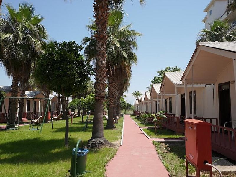 6E7DCE350631CABB50CDB072CBFF64AA