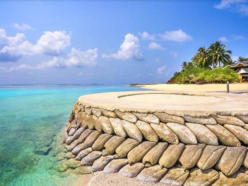 AA19D00C7F6F4D2947E081F62CCFE5A5