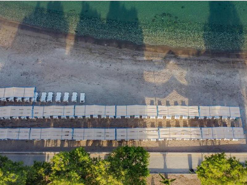 8688A2C651DCCE725C4D4DCCD8DF720A