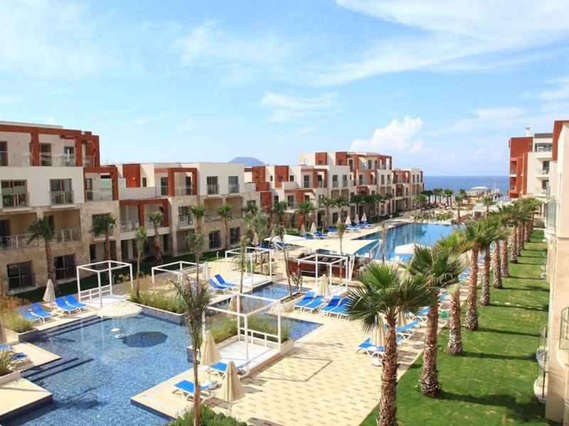 6A05DEA16FE8D7CD31782EB2A4AE8CCF