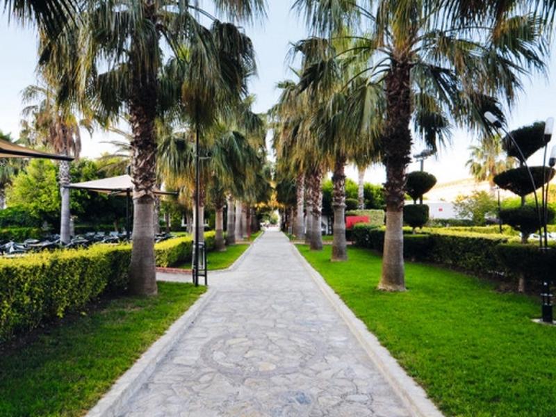 3374AA9EDF9F840118CEB7DFB067A75C