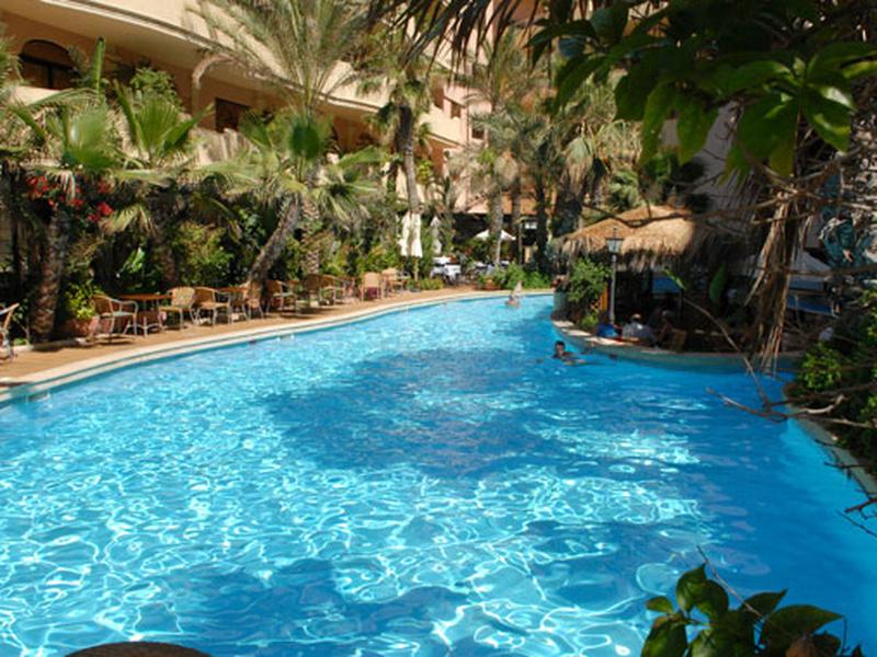 0F701EC2D0428097E8A878ECB0A998E3