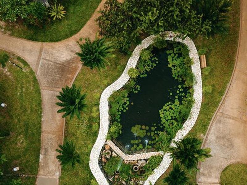 Palumbo Mnemba View Resort