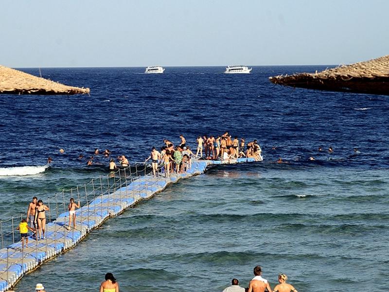 563EA1F146EE7B2A58EC35EEA0FECCB9