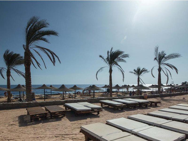 110B896CBB434D1924D1032424E3FBF4