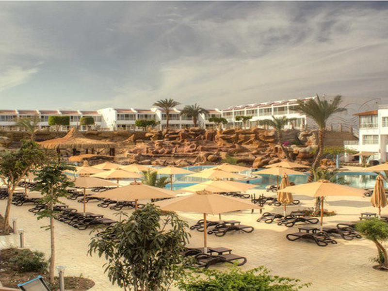 113253F92233B607706FBF332C4C5E79