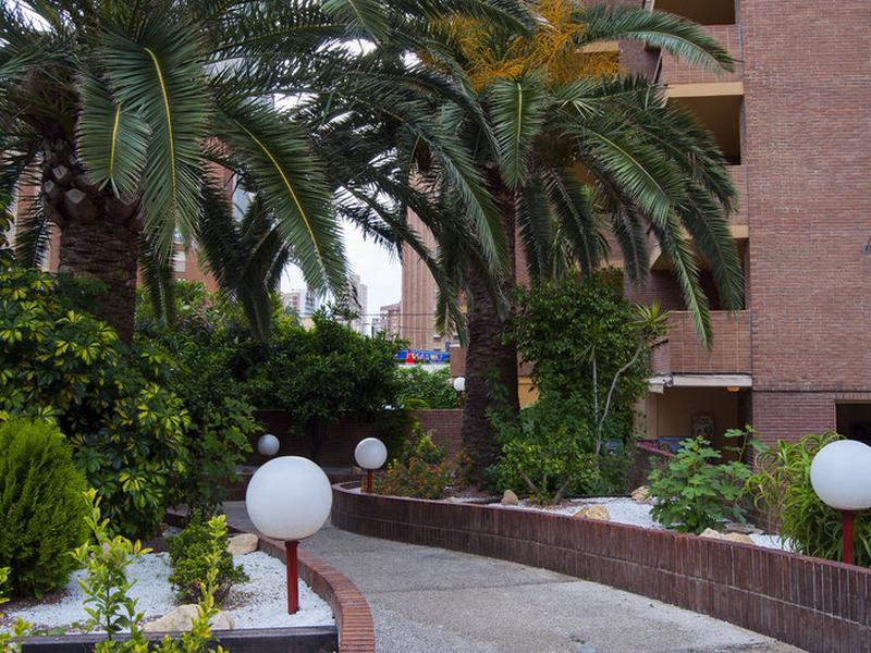 26AA738C0100AA0BDCAD0F903F20AC4F