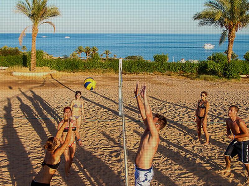 913F5D1FFE1E1904171881C9302F031E