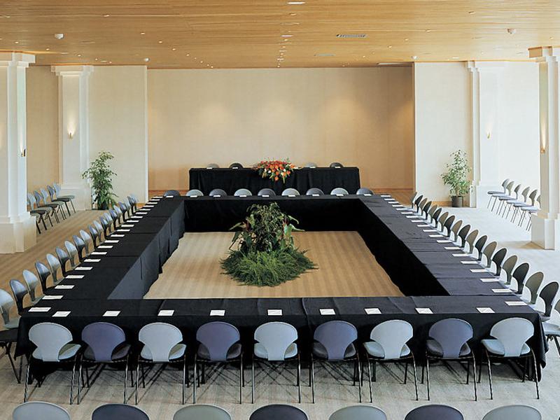 2448064389E917A7C2C40E224F386111