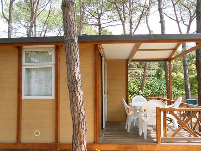 9A3AFAF857947D983DE2F85839E26A90