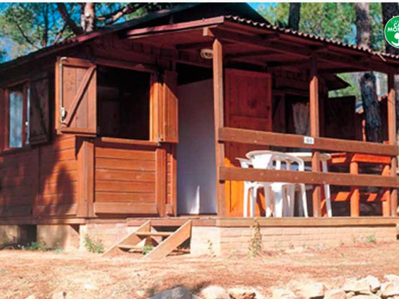 65B482D0C1DD4B8CD9DC7ED6FFBBAEEF