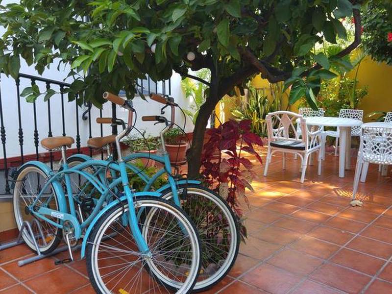 E668E4A67EEEBF562CE75E16813332F4