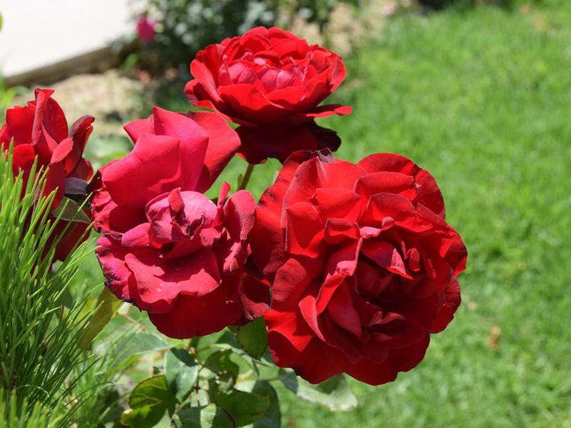 D458F4725BCB933AE1720793B99640A2