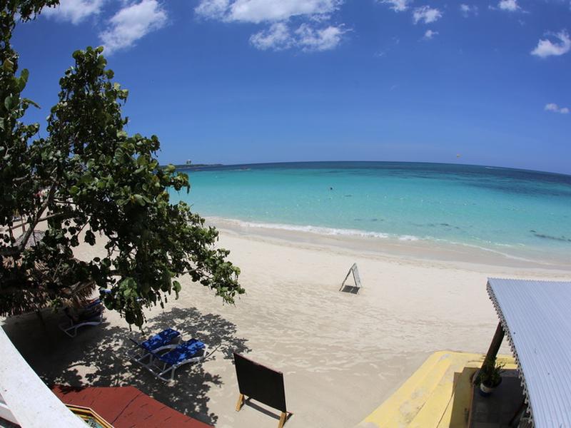 0B3562BCBDA8312794C54BCF36831B1B