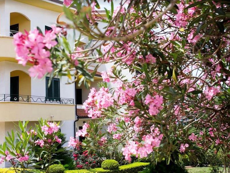 783C534BAC2BE886A7B4FF6709F95A94