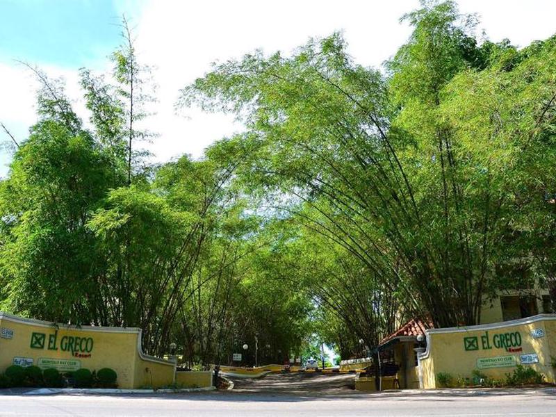 964257E2DBD47F596D29029C0B177806