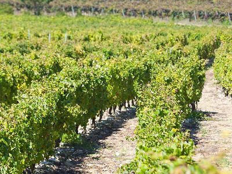 C1F0BDA14C183CAB210E62FFF05F3C54