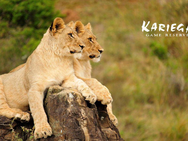 FAA6FE46356E0BE750F2BED420C0975A