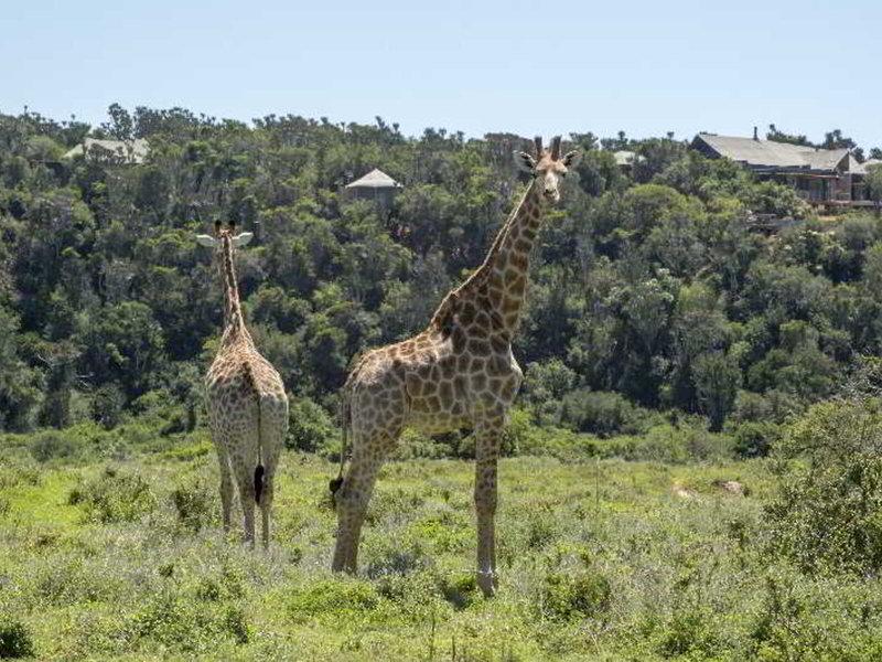 124667532B195601DD943D74C5139FAE