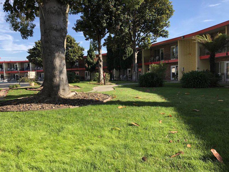 433FE3FA56A43301DBB0B3785B912B2A