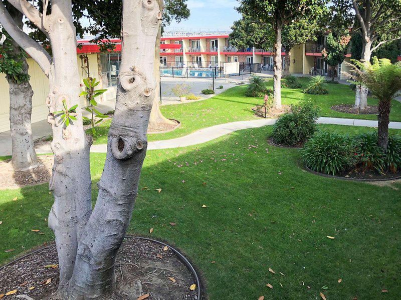 0EC6E9682465D9FD189D569E7F4F5AE8