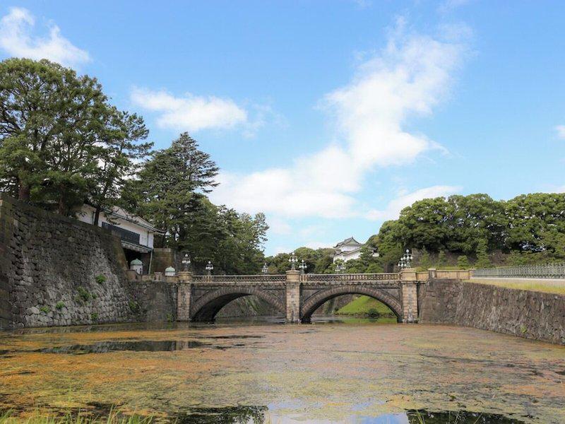 C7FC8B1D99FFD4EE66FC68426DE1A4A1