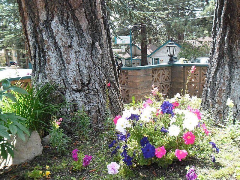 D86C2CCACEB49C5FFAC5EB5D7CBD0BD2