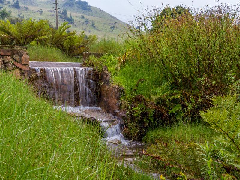 05655F6EA1C9FCD41C40EC9431D125CA