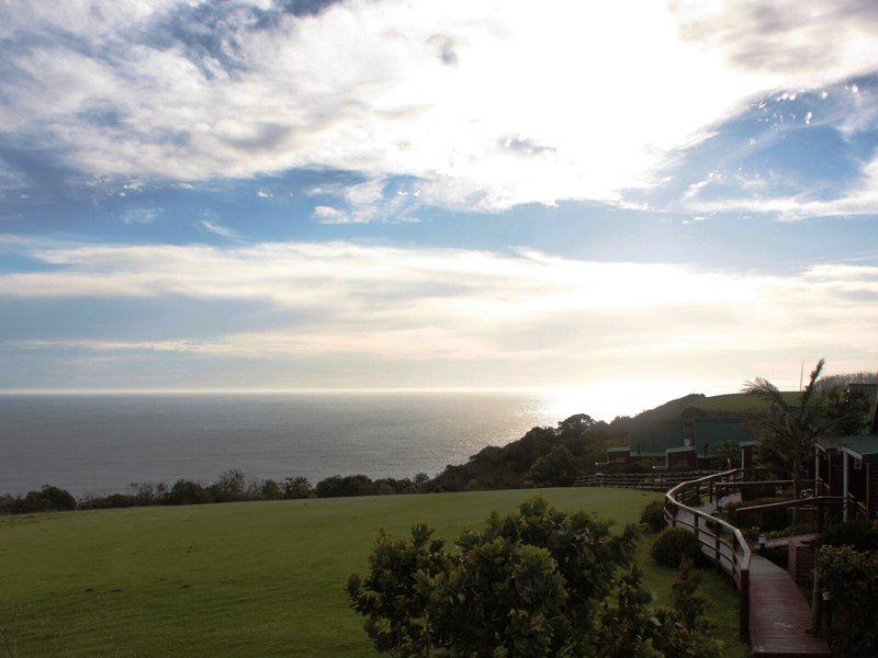 43A54B0CF7284B33113A8B80F2F23E24