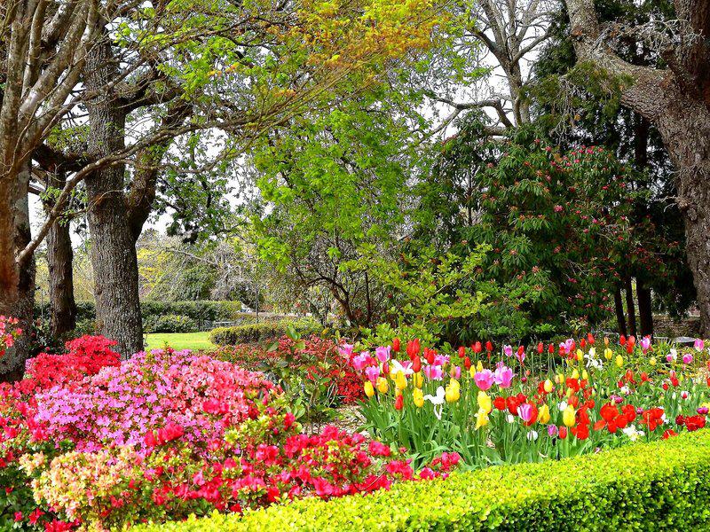 CAD7E2B7F6A26EEF6471128BBA8BE32E