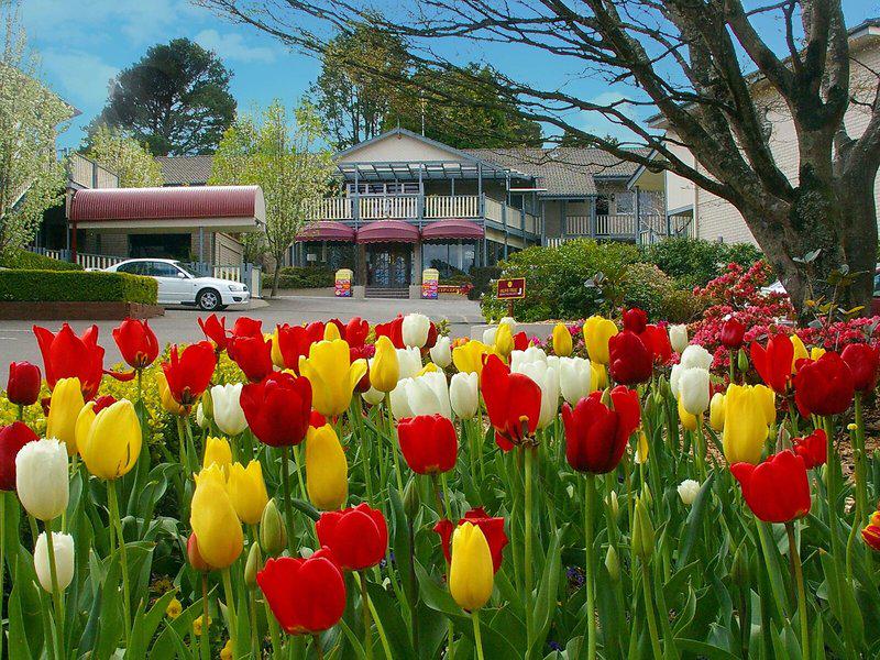 65F98A7196C08838A3A7DBA1A05D83F2