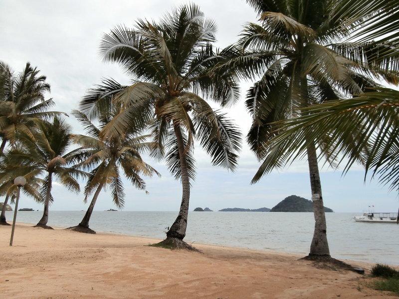 81B5910D1C1DA5BEBB6D04B2E1B14208