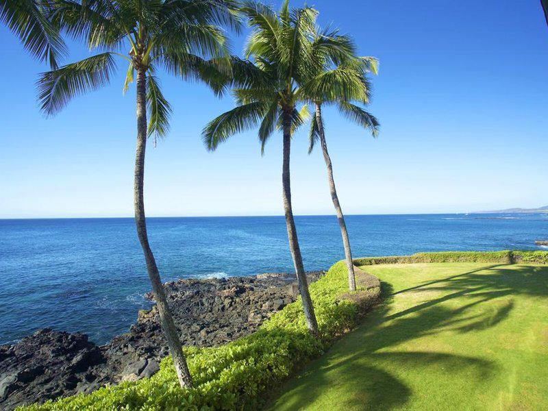 A9A81B3EE7B5E4A9EFB4734C9D6E0A3A