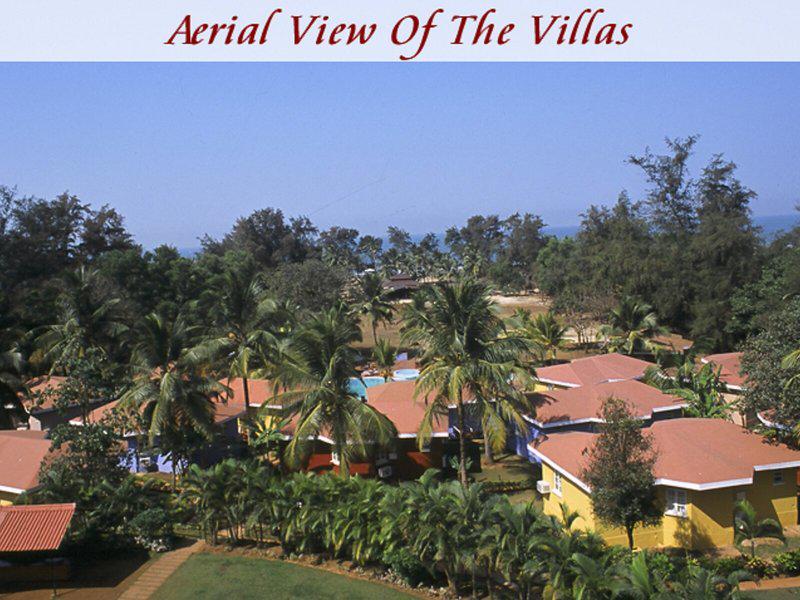 A8B86F4B2AFBD4967D6A9C2C114ECE64