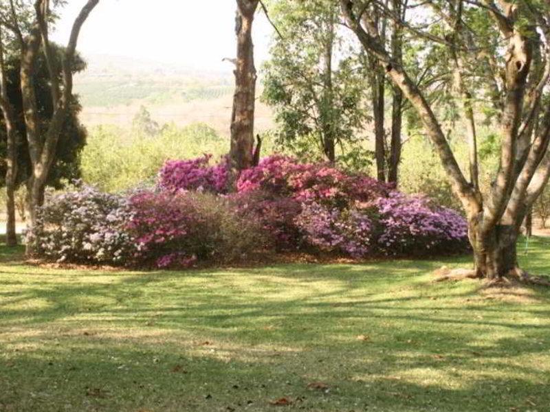 B1F7FD4C0F7F81C53A9846284B480898