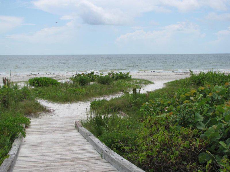 5346B56A7D23DC784A937FE7D25F8ACC