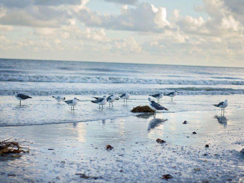 E4DB53349F98BB61F7F71A4F2D83BF27