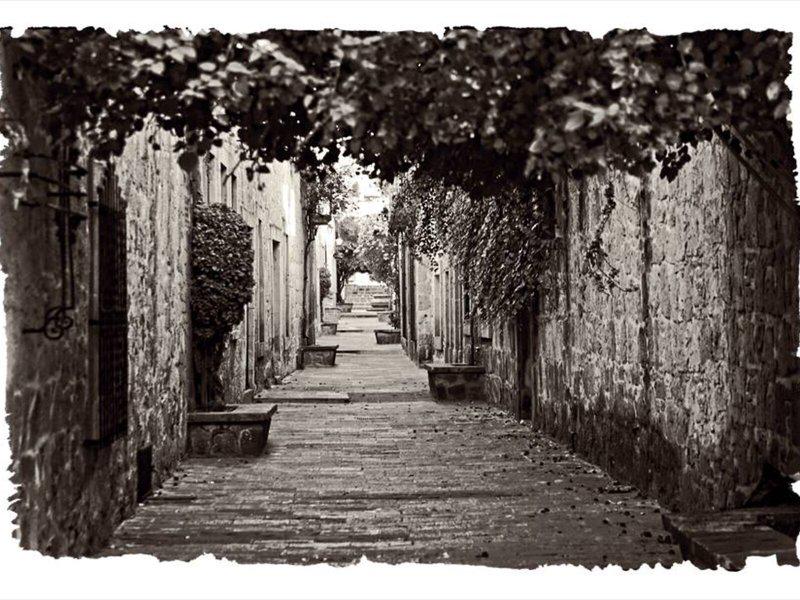 0F1349342FDF326D440FB7BF7C2E732D