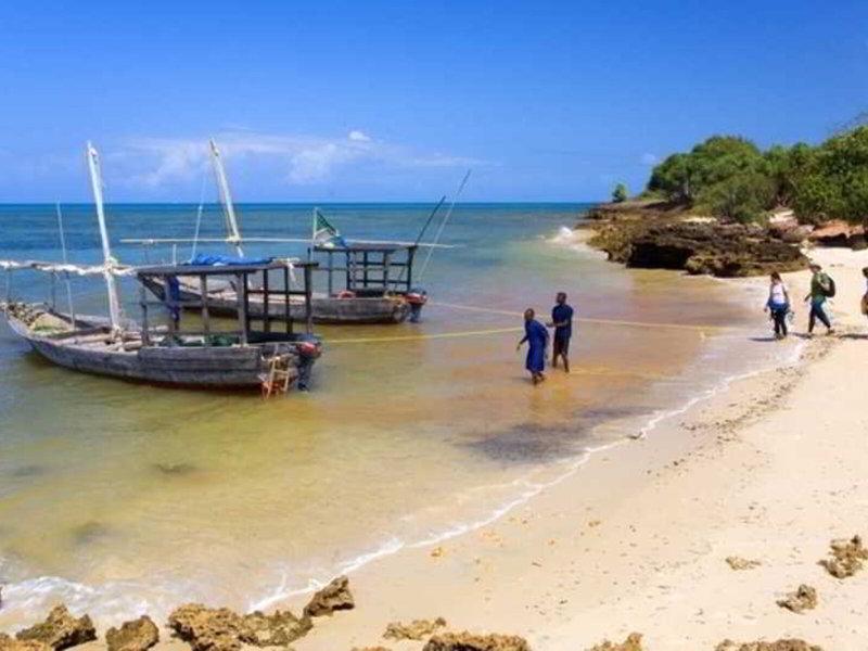 359E230B1BDA8F783EBF4CBA15B37B2B