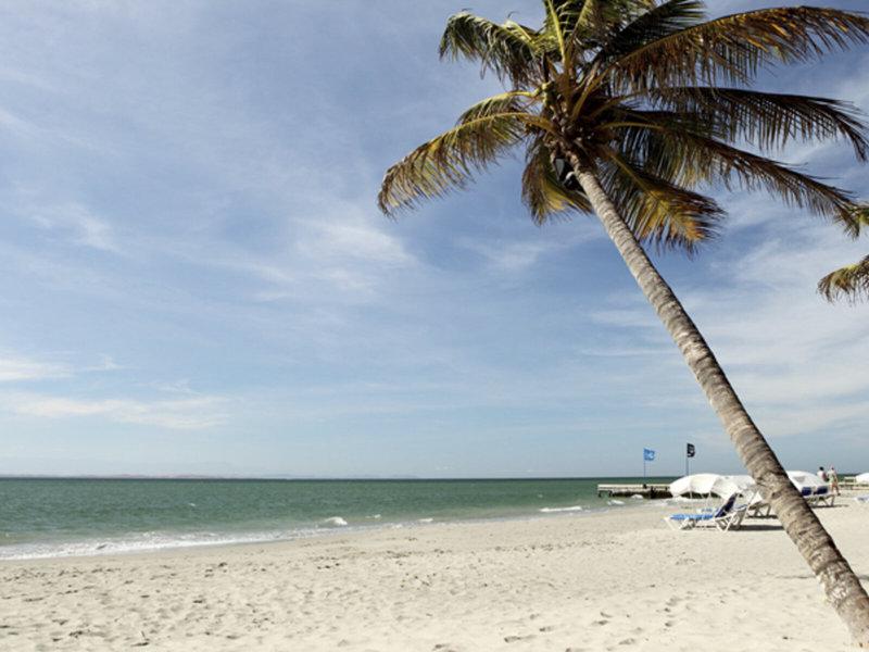 01BE04058E946217C1FA79719B78E586