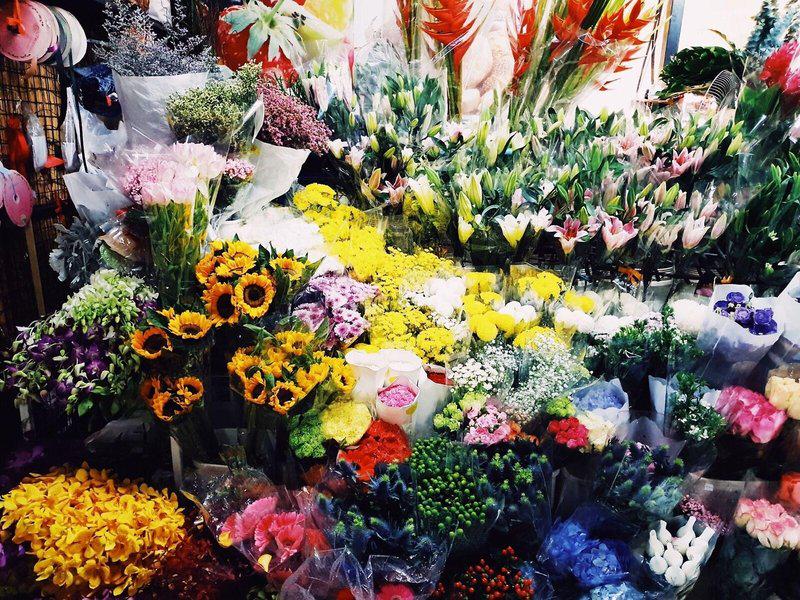 2E7AC825695BADB2600567CE9DF6DD6E