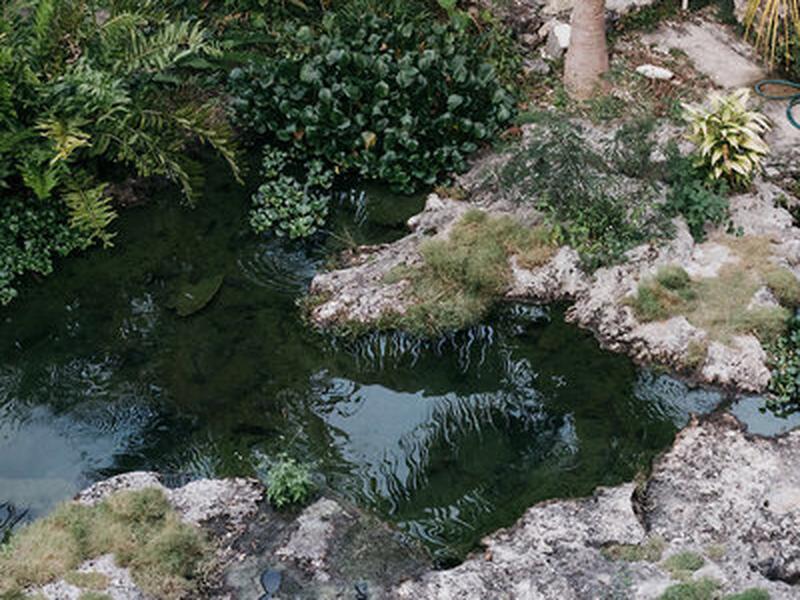 B49DE60572588B6E493BBBD2AB1AD627