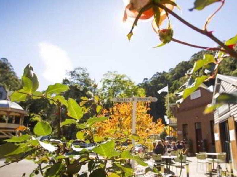 C8E1C6321133E591D1A036666B23AD01